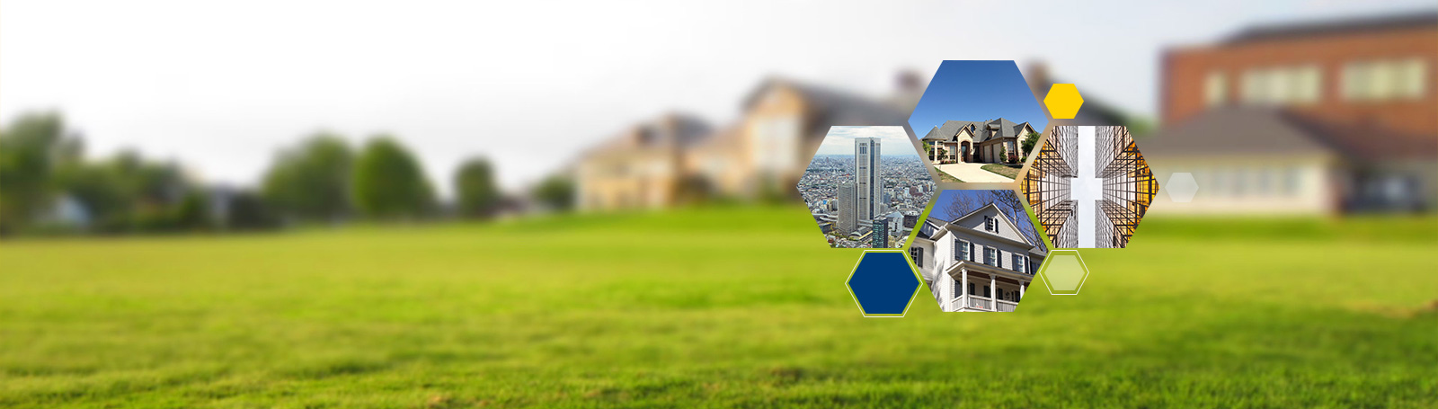 Real Estate Expertise